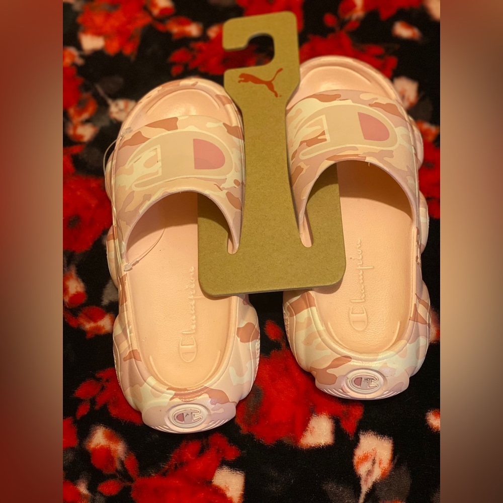 Female champion slides